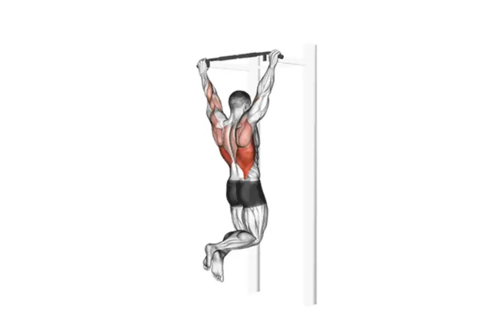 Tập gym giúp tăng chiều cao